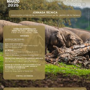 new_CARTEL_JORNADA TECNICA_2025 copia