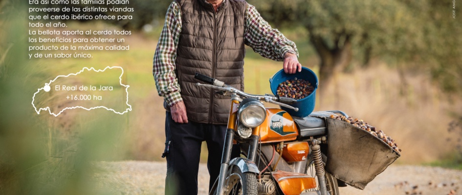 new_CARTEL_RITO_GASTRO XVI_2025 copia